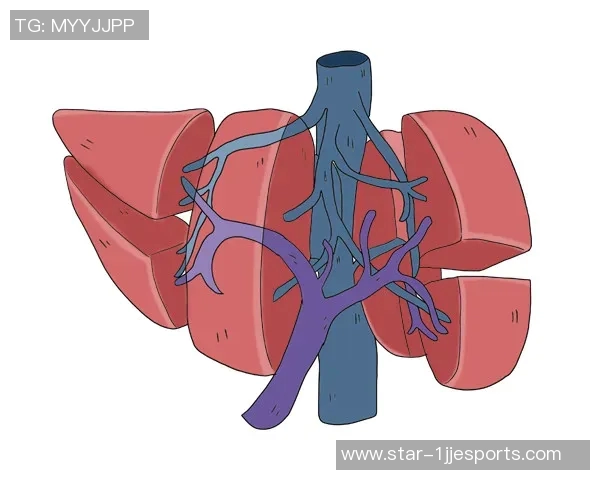 吴强畅谈DOTA2职业生涯与游戏发展历程的深度回顾与反思